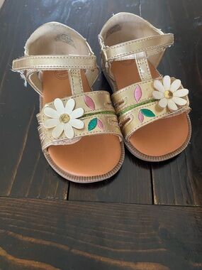 Wonder Nation Metallic Gold Floral T-Strap Sandals with Pink & Green Accents